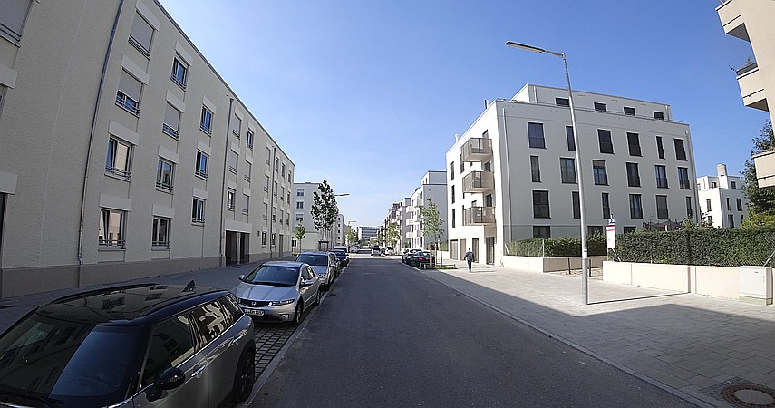 Fehlende Alleen in den Straßen